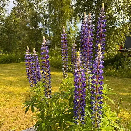 Martine's Vakantiehuis